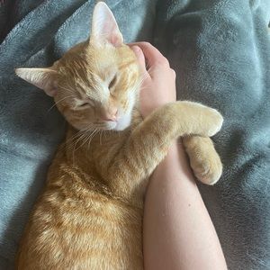 Meet your Posher, Keramia